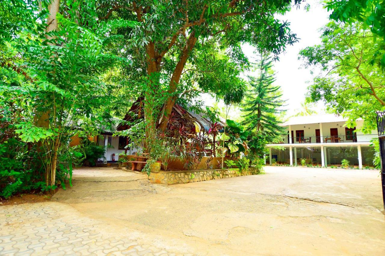 Ariya Rest & Ayurveda Spa Polonnaruwa Exterior foto
